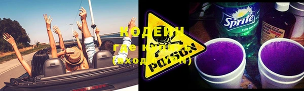 дживик Верхний Тагил