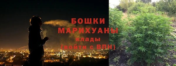 дживик Верхний Тагил