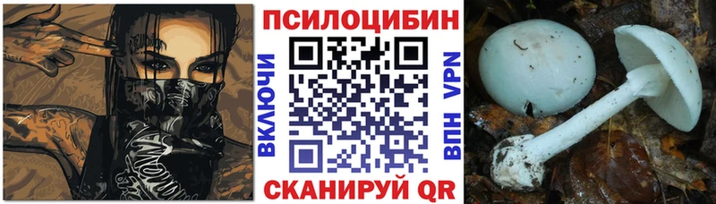 где найти наркотики  Кирсанов  Псилоцибиновые грибы GOLDEN TEACHER 